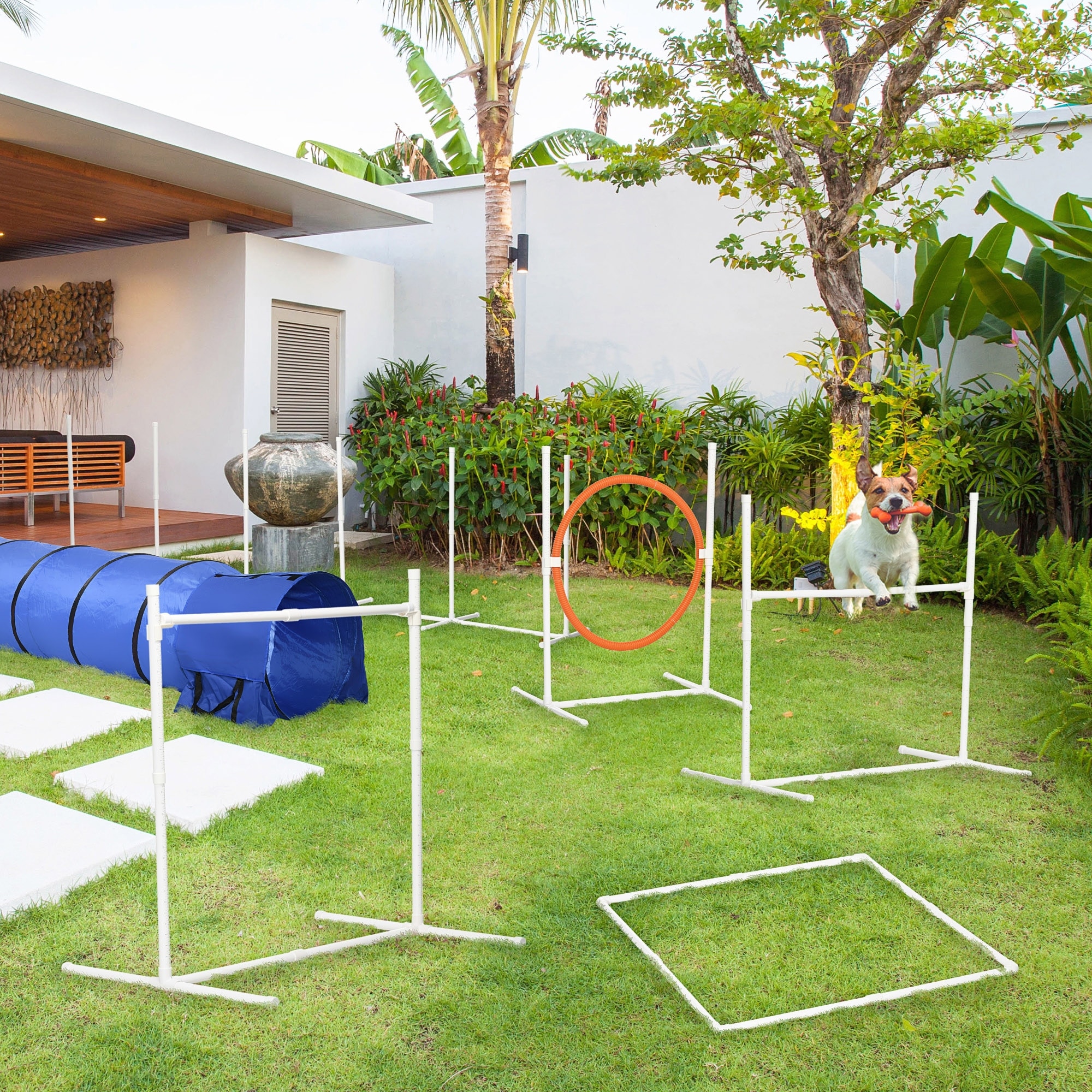PawHut 6PCs Portable Dog Agility Training Equipment Pet Agility