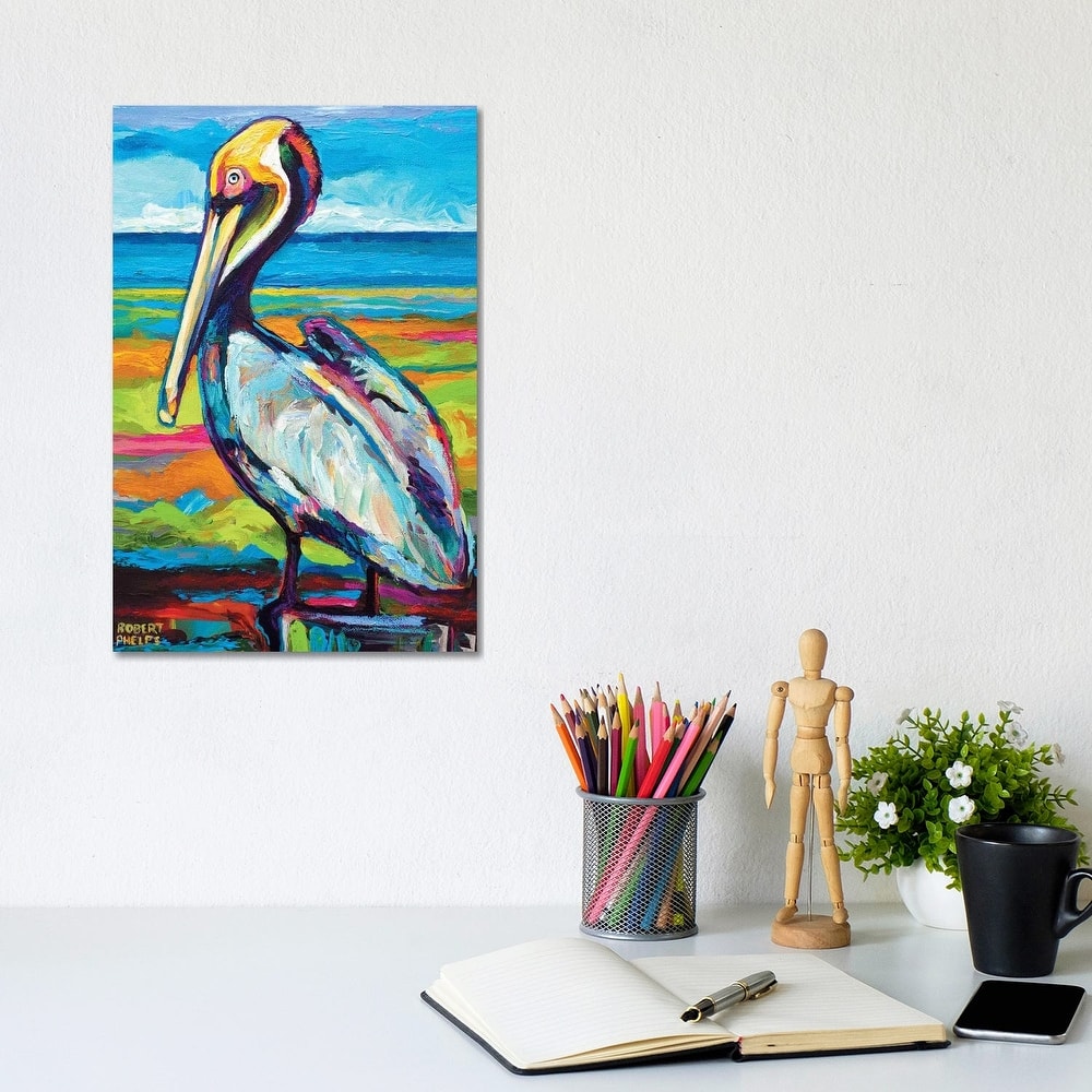 iCanvas "Pelican" by Robert Phelps Canvas Print