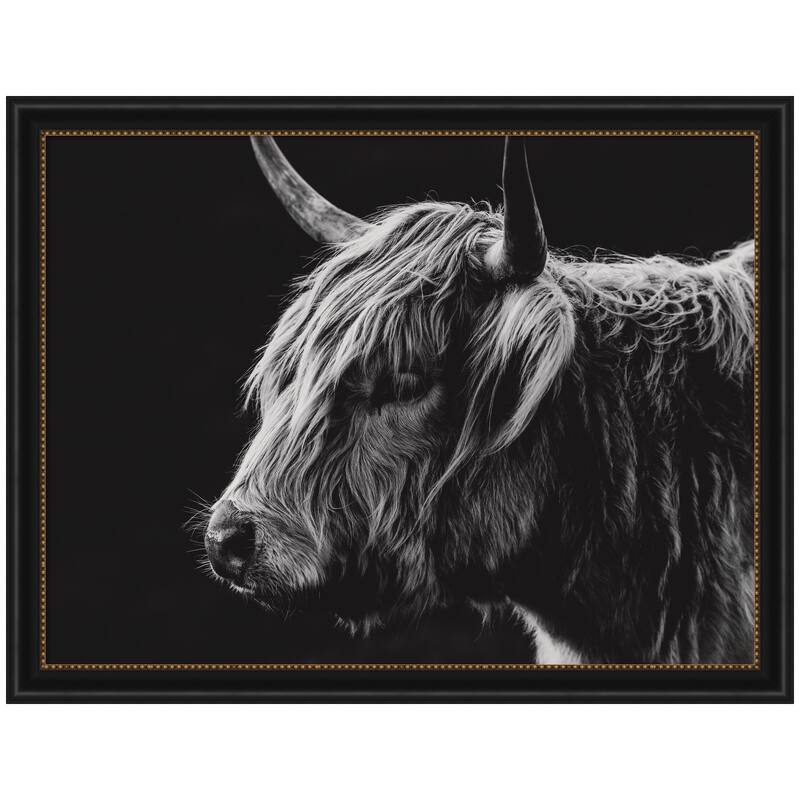 Kate and Laurel Scottish Highland by Crystal Lynn Collins Framed Wall Art Print - 44 x 34 - Black