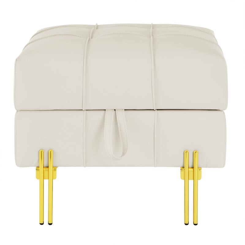 22.1" Faux Leather Storage Ottoman with Stainless Steel Legs