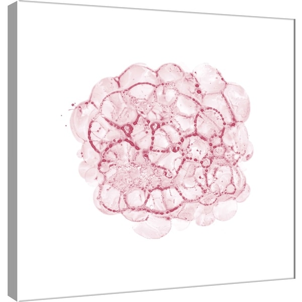 PTM Images 9-100522 PTM Canvas Collection 12" x 12" - "Cellular Clouds in Red C" Giclee Abstract Art Print on Canvas