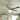 Parrot Uncle 52" Brushed Gold Modern Glass 6-Speed DC Motor Ceiling Fan with LED Light and Remote