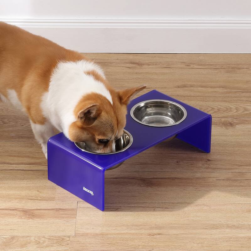 Keaton 5" Small/Medium Modern Lucite Rectangular Elevated Pet Feeder with 20oz 2-Stainless Steel Bowls