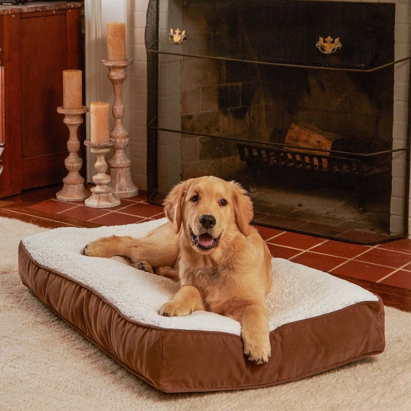 Happy Hounds Buster Sherpa Latte Dog Bed