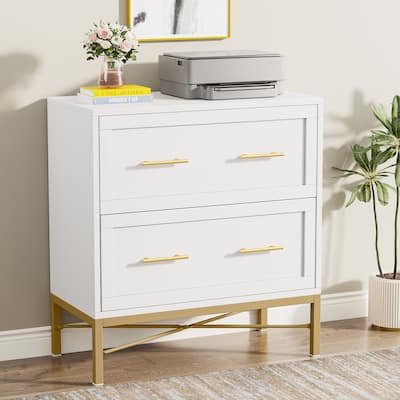 2 Drawer Lateral Filing Cabinet, Modern File Cabinet Printer Stand, Large Storage Cabinets for Letter/Legal/A4 Size, White