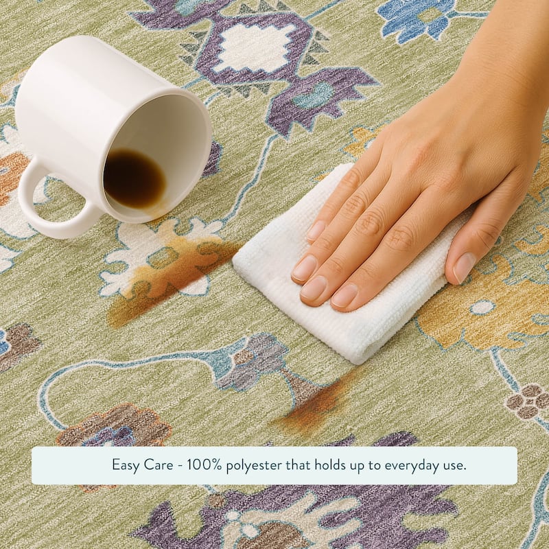 Machine Washable Indoor/ Outdoor Traditonal Delhi Chantille Rug