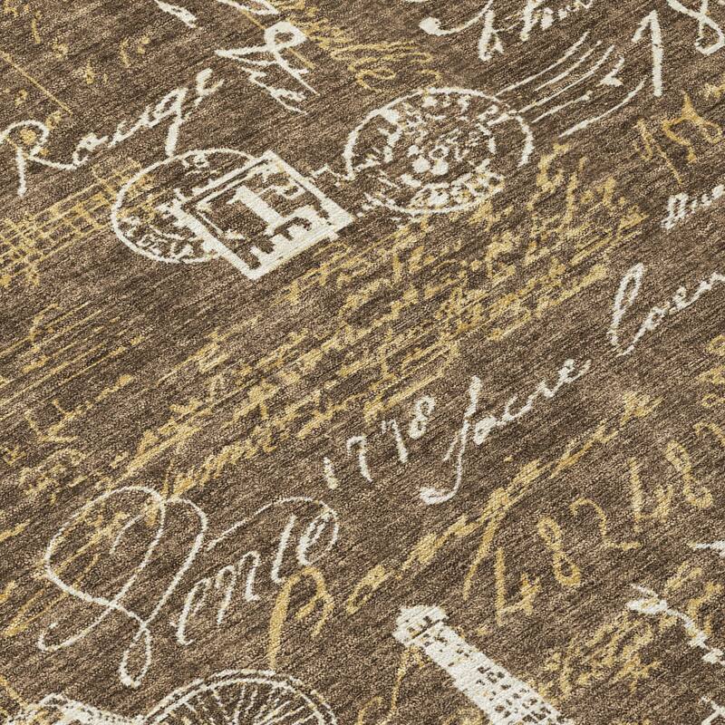 Machine Washable Indoor/ Outdoor Paris Chic Chantille Rug