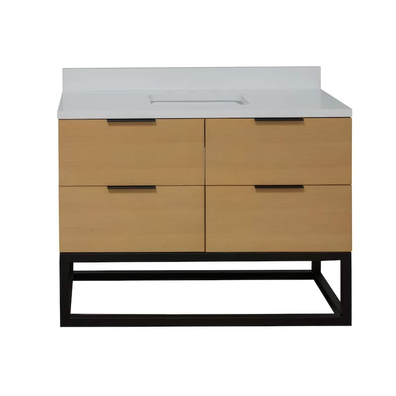 KitchenBathCollection Mia 48" Bathroom Vanity with Matte White Top