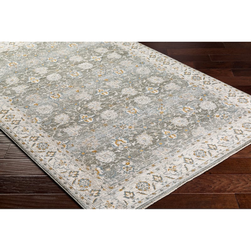 Livabliss Dresden Transitional Area Rug
