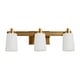 preview thumbnail 1 of 14, Robert Stevenson Lighting Sullivan Park - Glass and Metal Vanity Light Brushed Gold