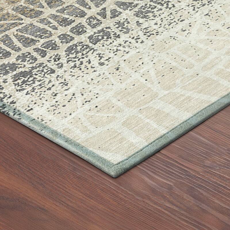 Machine Washable Indoor/ Outdoor Boho Global Chantille Rug