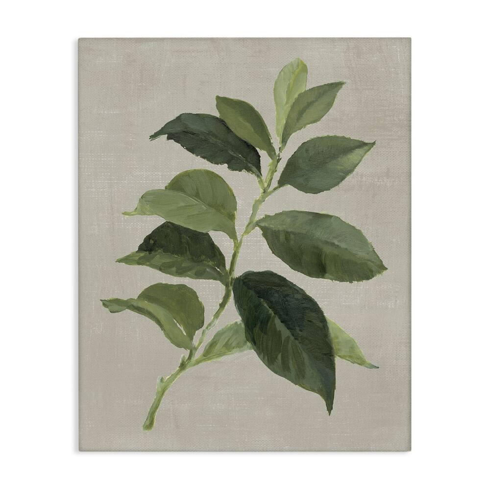 Stupell Arabica Coffee Plant Leaf Canvas Wall Art Design By Lanie Loreth