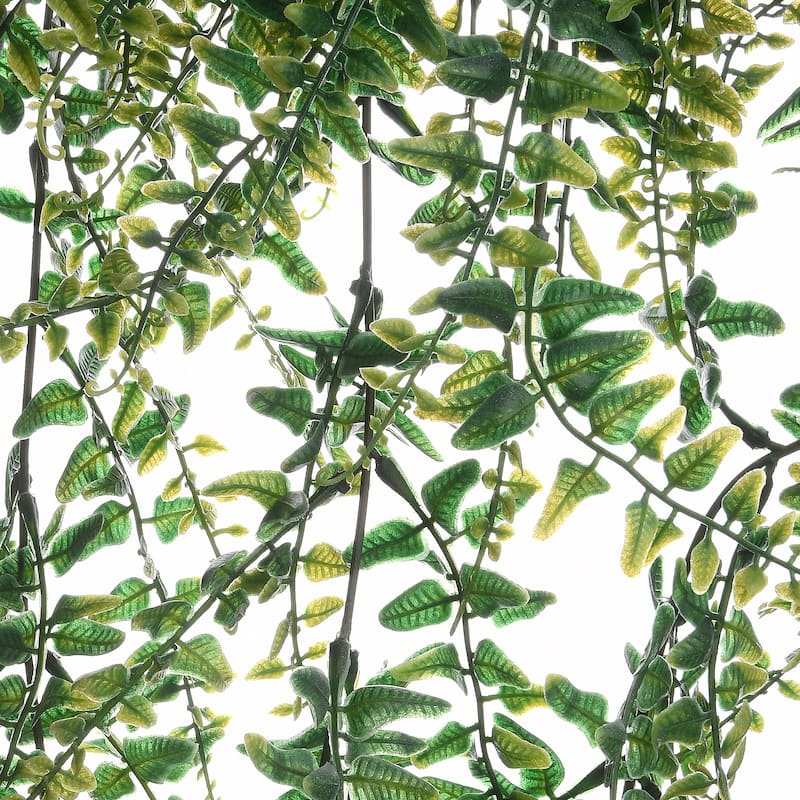 National Tree Company 21 in. Fern Leaves Hanging Basket - 21 in