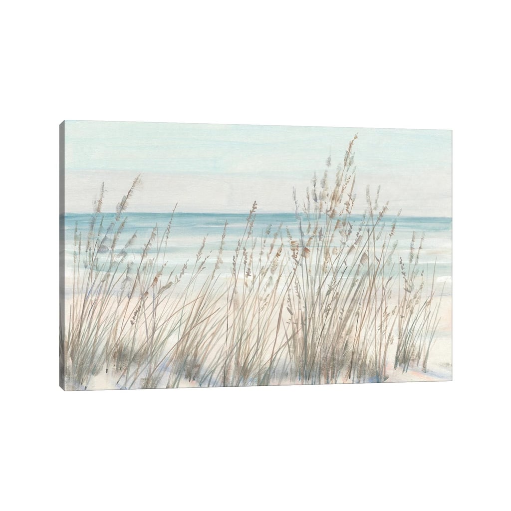 iCanvas "Beach Grass II" by Tim OToole Canvas Print