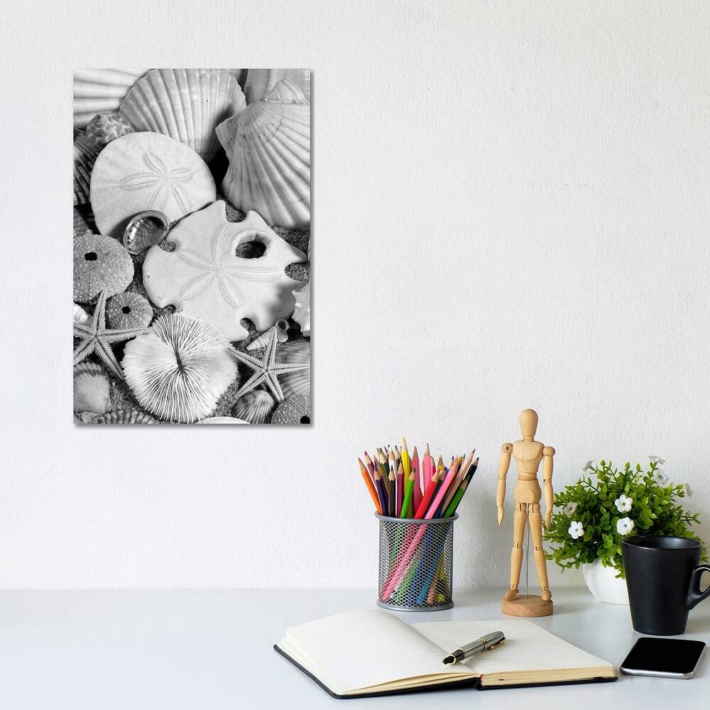 iCanvas "1980s Assortment Of Seashells Sand Dollars Coral And Starfish On Sand" by Vintage Images Canvas Print
