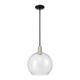 Option Black Antique Brass / Seedy