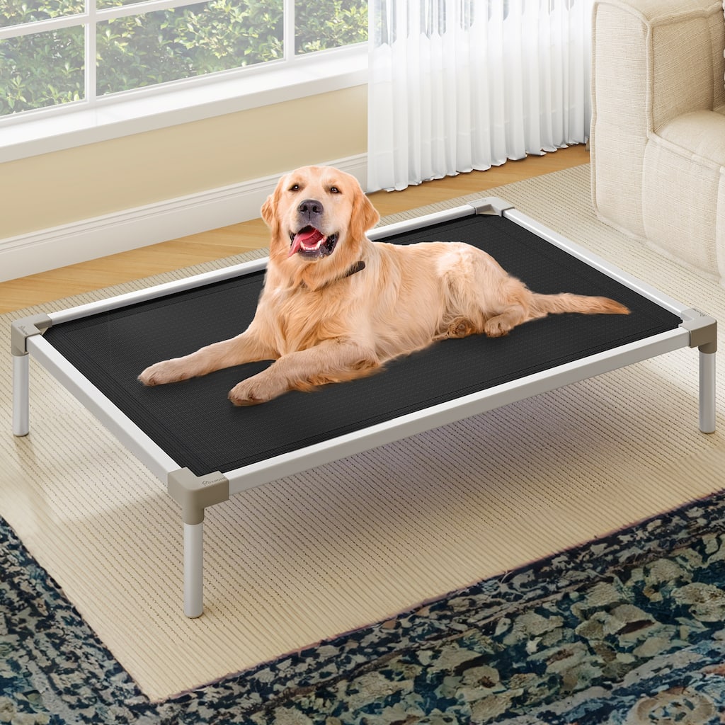 Moasis Textilene Dog Bed, with Aluminum Frame