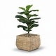 preview thumbnail 9 of 9, Woven Square Flower Pot Planter with Leak-Proof Plastic Lining Large