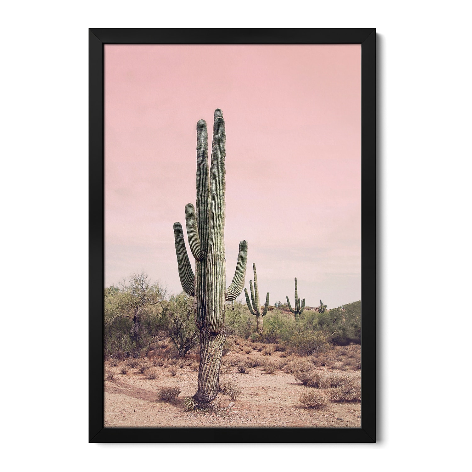 Desert Cactus Blush Premium Framed Poster by Sisi & Seb