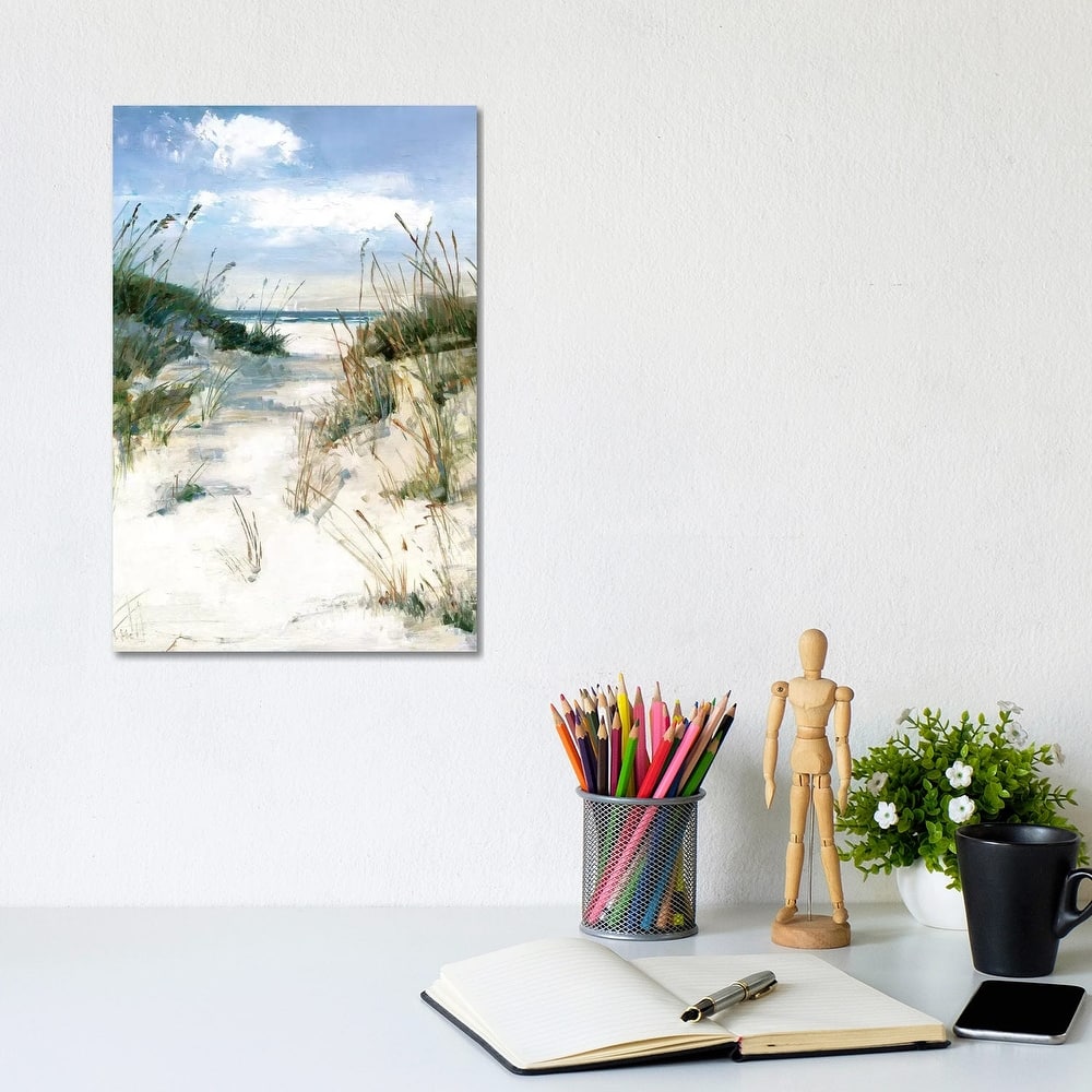 iCanvas "Dune View" by Sally Swatland Canvas Print