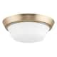 Option Champagne Bronze
