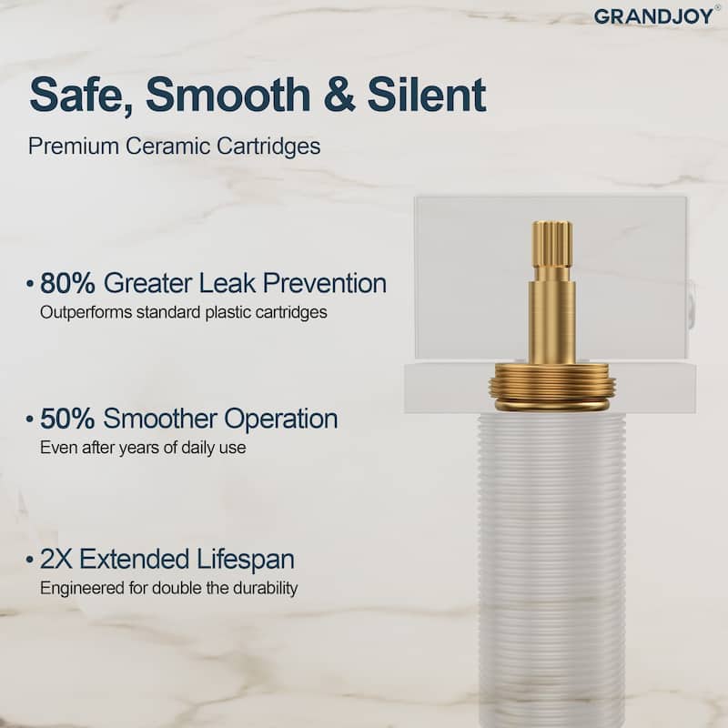 GRANDJOY High Arc Double Handle Bathroom Sink Faucet with Drain