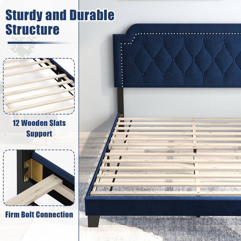 Gymax Queen Size Velvet Platform Bed w/ Button Tufted & Nailhead Trim