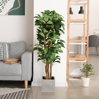 American Art Decor Artificial Coffee Tree in Cement Pot Faux Plant for Home or Office - 60"