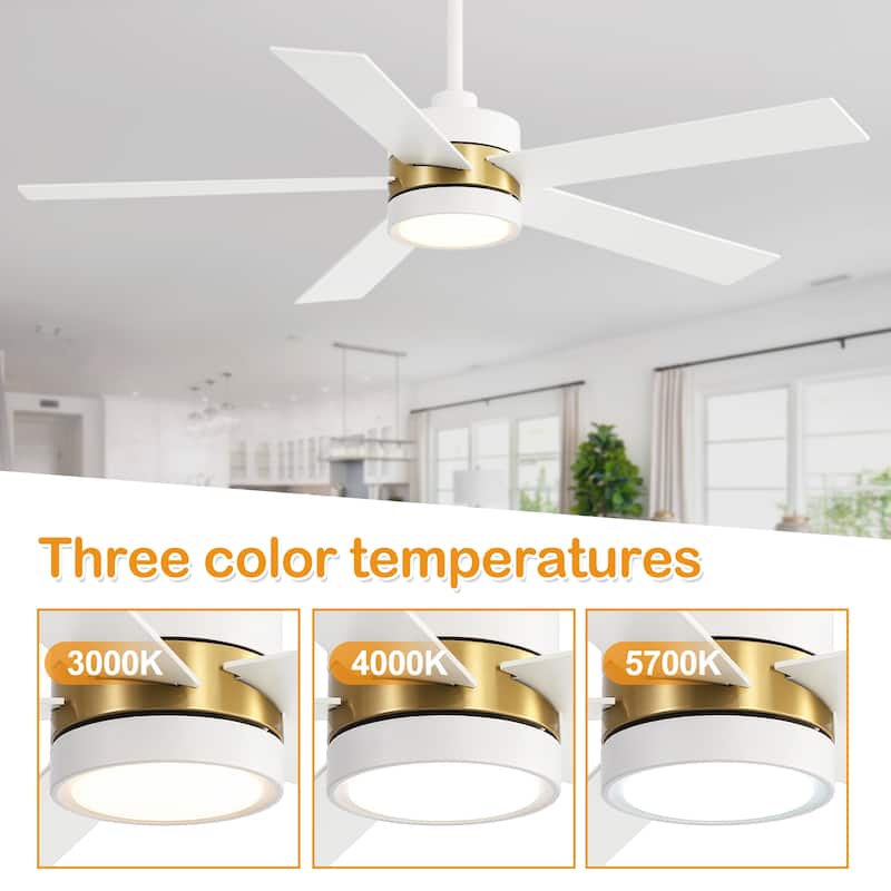 52-IN LED Ceiling Fan with Light Kit and Remote- 5 Blades