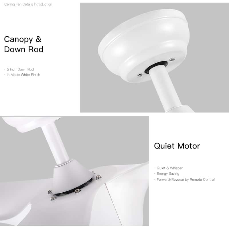 Sofucor 48/52/60 Inch Solid Wood Ceiling Fan with Light and Remote, Reverse Functions, Integrated Light Optional