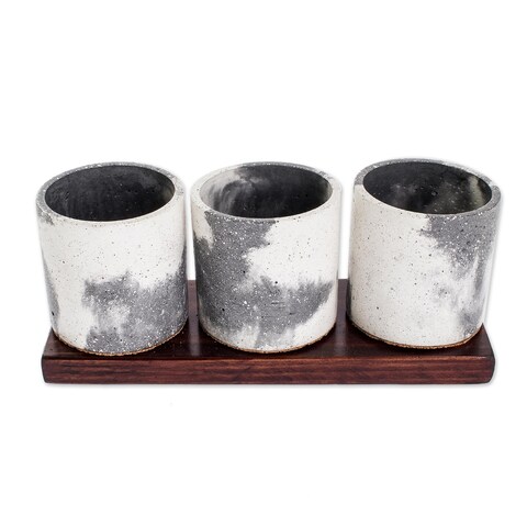 Novica Handmade Flowers From My Garden Concrete Planters And Wood Stand (Set Of 3) - Concrete, cork, caoba wood stand