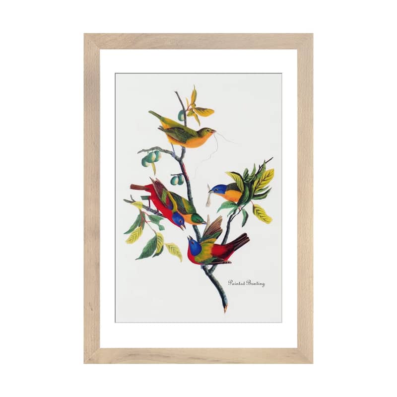 iCanvas "Painted Bunting" by John James Audubon - Natural - 32x24x1