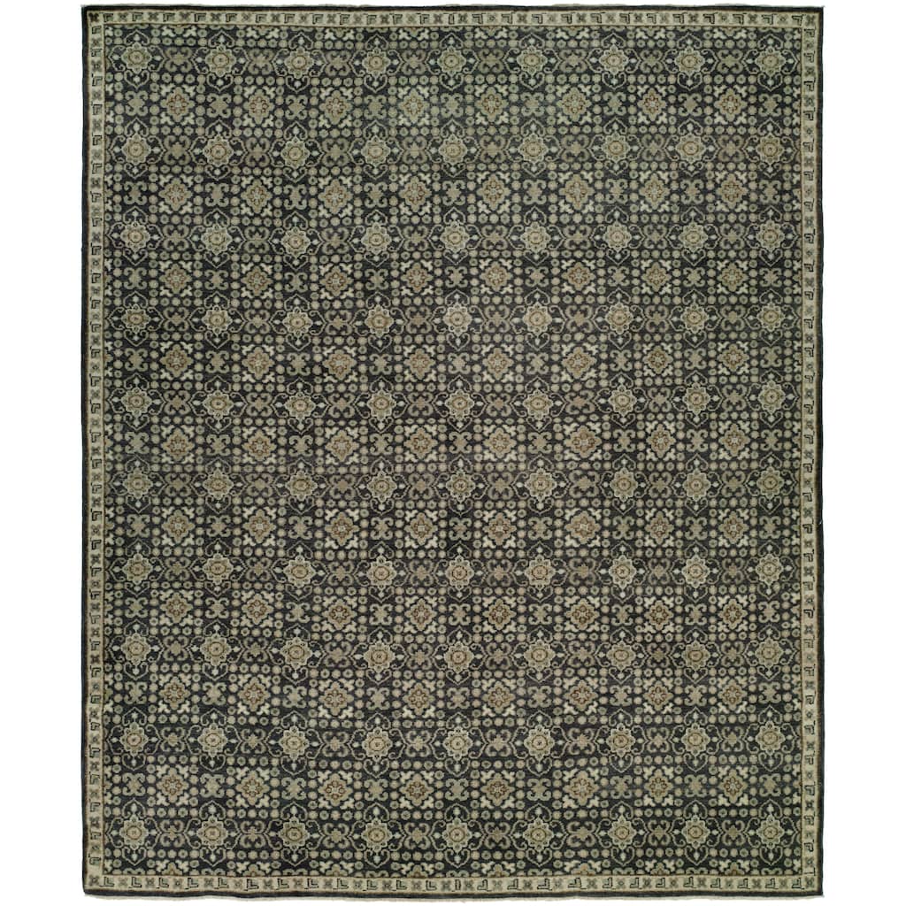 Transitional Multi-Colored Hand-Knotted WOOL Area Rug