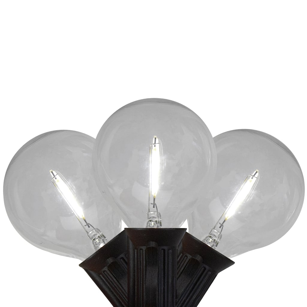 LED G50 Globe Christmas String Lights - Pure White - 10' Black Wire - 10ct