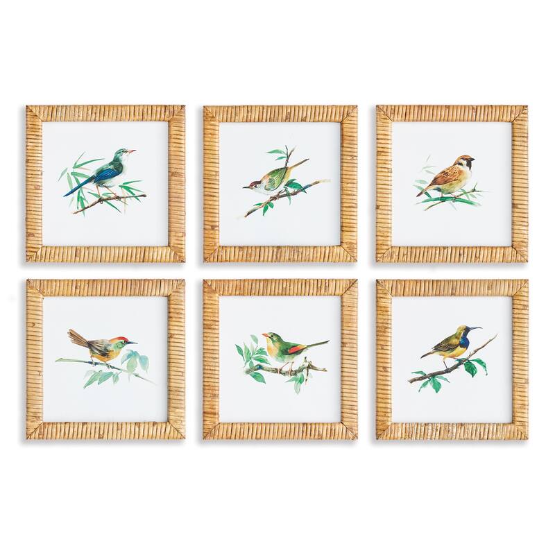 Songbird Petite Prints, Set Of 6