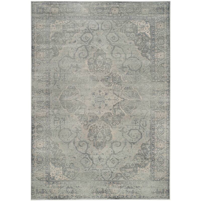 SAFAVIEH Vintage Distressed Boho Alli Oriental Rug