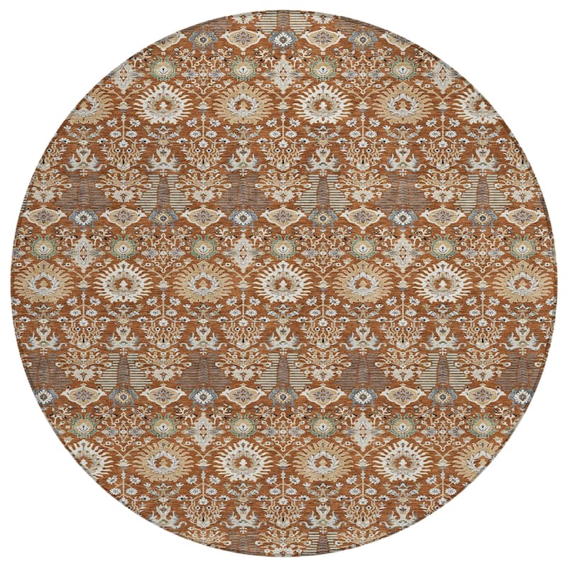 Machine Washable Indoor/ Outdoor Traditional Xander Chantille Rug