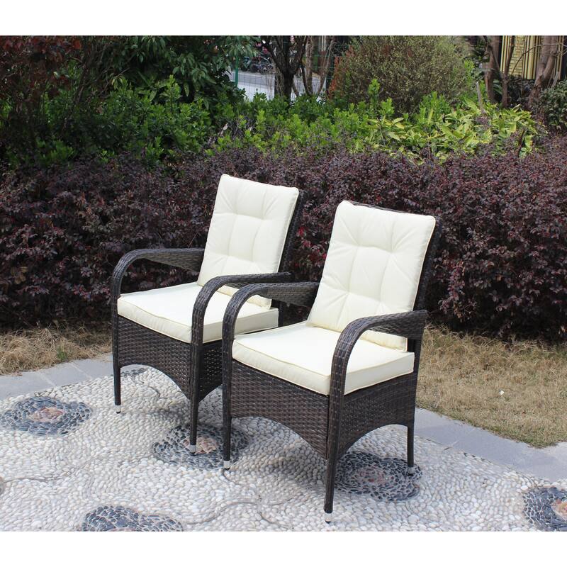 2-Piece Liberatore Dining Chairs with Cushions