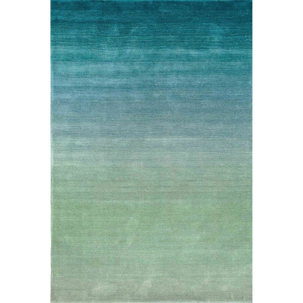Liora Manne Arca Ombre Indoor Rug