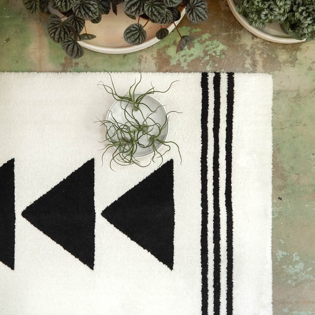 Everett Transitional Geometric Area Rug