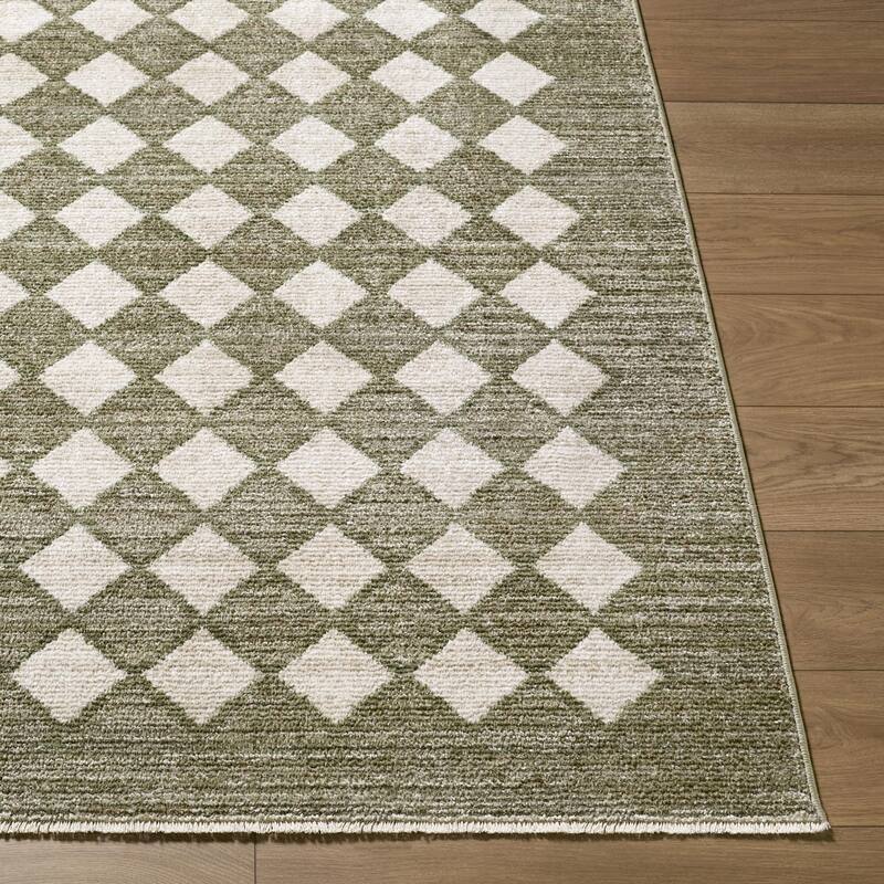 Galey Alix x Livabliss Myrtle Avenue V Vintage Checkerboard Area Rug