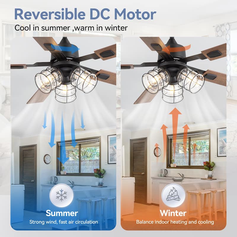 52" Industrial Reversible 5-Blade Glass Shade Ceiling Fan with Light and Remote