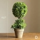 preview thumbnail 6 of 6, RusticReach Artificial Boxwood Topiary in Various Designs