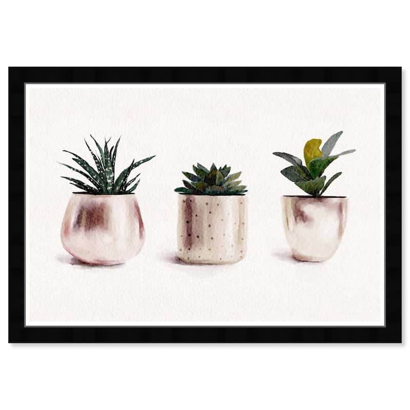 Wynwood Studio Prints Floral and Botanical Line of Succulents White and Dark Green Farmhouse Wall Art Canvas Print