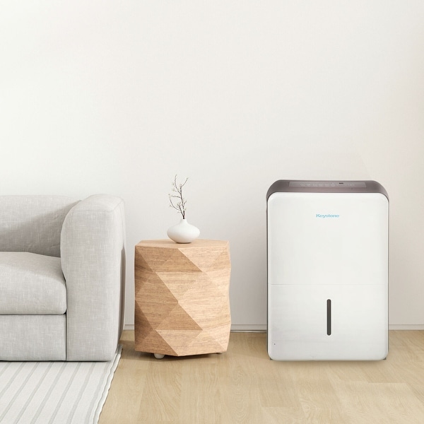 BE-MAXtheMOONDeep＋ Keystone 35-pint Dehumidifier - Bed Bath & Beyond - 40432658