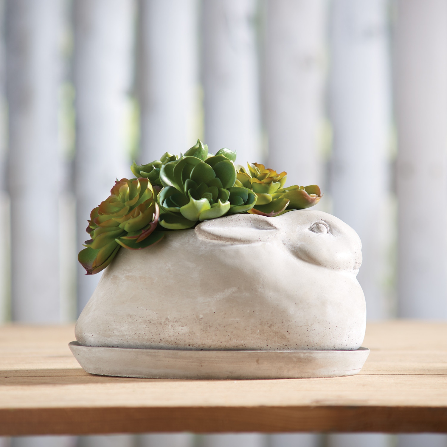 Art & Artifact Rabbit Planter Bunny Flower Pot with Saucer