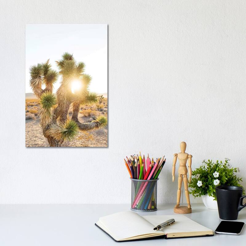 iCanvas "Joshua Tree Sunrise" by Bethany Young Canvas Print - 12x8x0.75