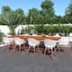 Option White Armchairs - Dark Wood
