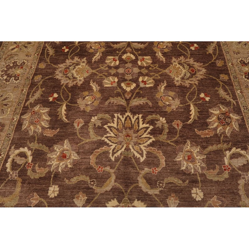 Hand Knotted Chobi Peshawar Brown Persian Wool Traditional Area Rug - 9' x 12'