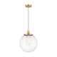 Option Clear / Satin Gold